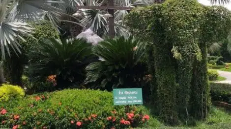 Tweechol Botanic Garden