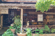 Wat Gate Khar Rnam 05