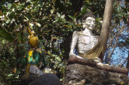 Wat Phra That Pha Ngao 4