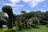 Tweechol Botanic Garden