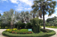 Tweechol Botanic Garden 2