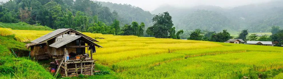 Chiang Dao