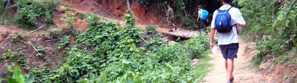 Chiang Rai Trekking