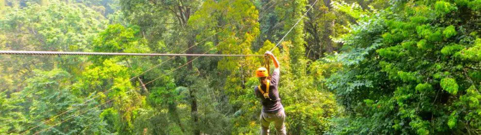 Flight Of The Gibbon