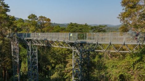 Queen Sirikit Botanical Garden