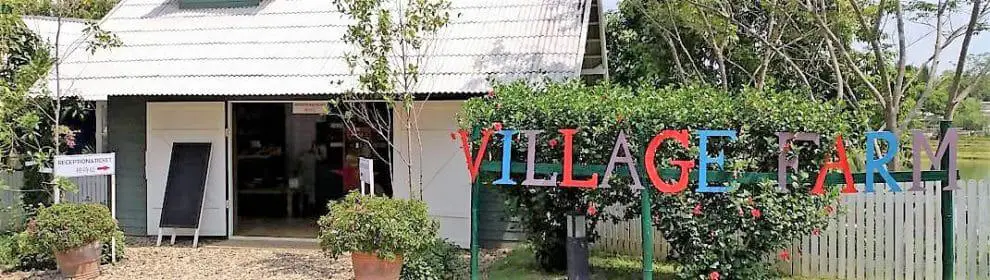 Pai Village Farm
