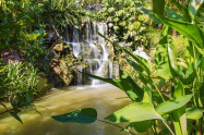 Bai Orchid And Butterfly Farm 71069330 E1495461121479