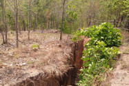Land Split Pai 6
