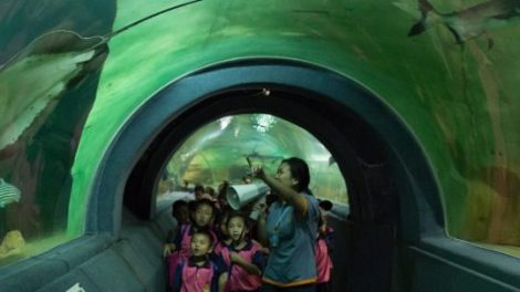 Chiang Mai Zoo Aquarium