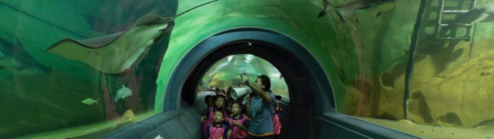 Chiang Mai Zoo Aquarium
