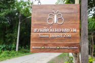 Siam Insect Zoo 2 Scaled