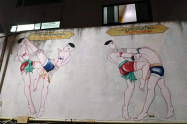 Bb Thapae Boxing Stadium 01