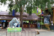 Maesa Elephant Camp 4