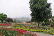 Royal Park Rajapruek 16