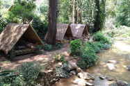 Bb Doi Suthep Pui National Park 02
