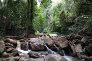 Bb Doi Suthep Pui National Park 06