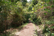 Bb Doi Suthep Pui National Park 07