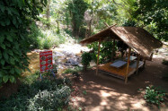 Bb Doi Suthep Pui National Park 08