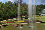 Queen Sirikit Botanical Garden 2