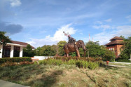 Bb Thai Elephant Conservation Center 02