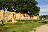 Bb Thai Elephant Conservation Center 06