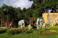 Bb Thai Elephant Conservation Center 07