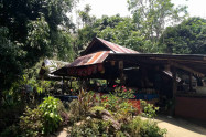 Mae Sa Waterfall 5