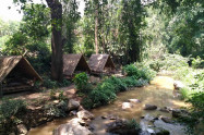 Mae Sa Waterfall 8
