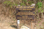 Pai Hot Springs 3