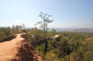 Pai Canyon 13