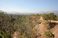 Pai Canyon 16
