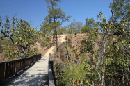Pai Canyon 21