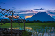 Chiang Dao 08