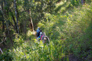 Chiang Dao 10