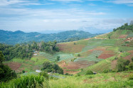 Mae Rim 01