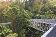 Mae Rim 03