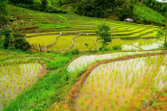 Mae Sariang 02