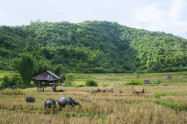 Mae Sariang 04