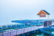 Phayao 05
