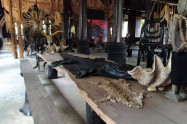 Baan Dam Museum 2