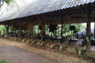 Baan Dam Museum 8