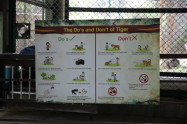 Tiger Kingdom Chiang Mai 10