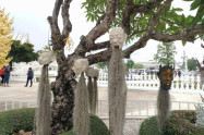 Wat Rong Khun 4