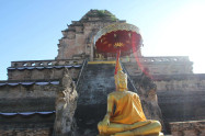 Wat Chedi Luang 35