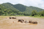 Bb Elephants Nature Park 05