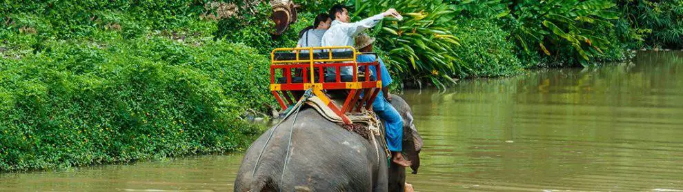 Thai Elephant Conservation Centre