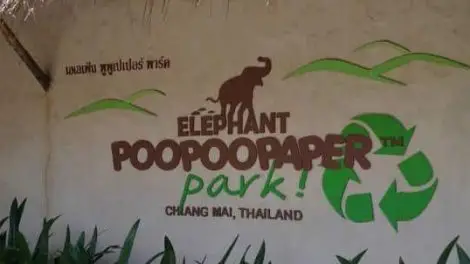 Elephant Poo Poo Paper Park