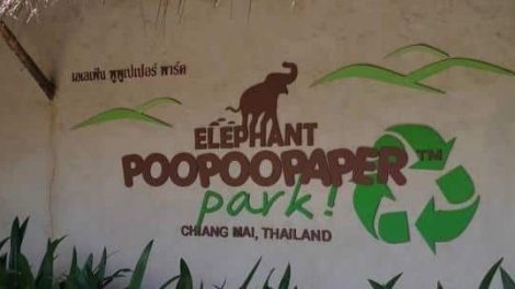 Elephant Poo Poo Paper Park