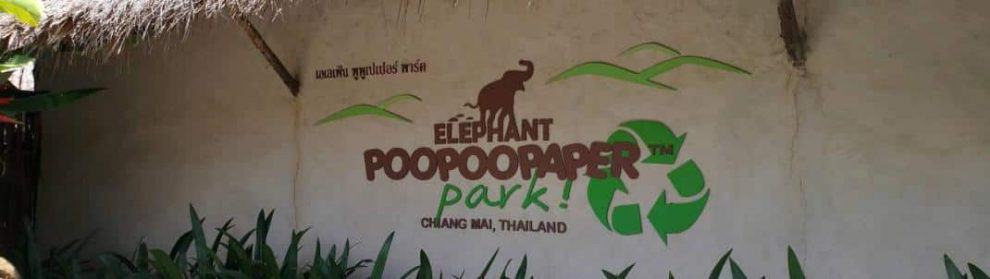 Elephant Poo Poo Paper Park