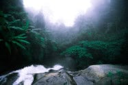 Mo Paeng Waterfall 4 Scaled